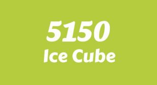 5150 Song Lyrics