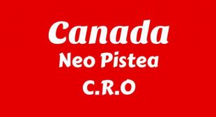 CANADA Song Lyrics