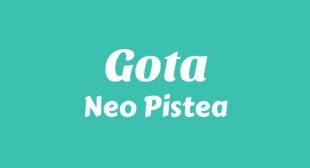 GOTA Song Lyrics
