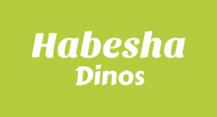 Lyrics of HABESHA Song