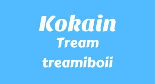 Lyrics of KOKAIN Song