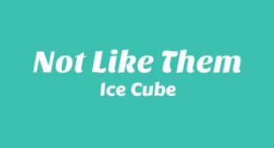 Not Like Them Song Lyrics
