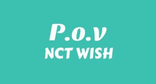 P.O.V Song Lyrics
