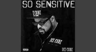 Lyrics of So Sensitive Song