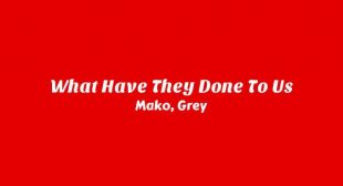 What Have They Done to Us Lyrics – Mako