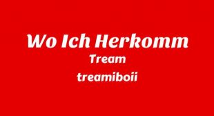 Lyrics of WO ICH HERKOMM Song