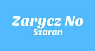 ZARYCZ NO Lyrics