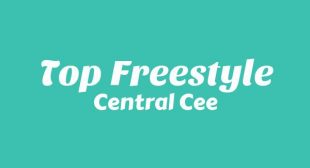 Lyrics of Top Freestyle Song
