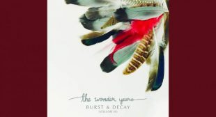 Junebug Song Lyrics