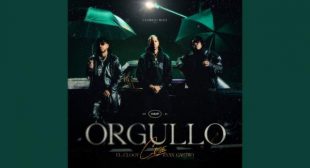 Orgullo Song Lyrics