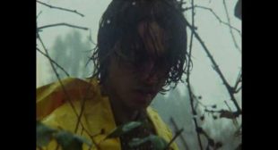 Lyrics of Stalks Song