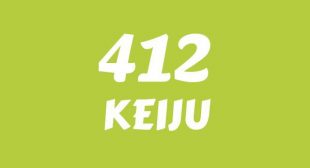 412 Lyrics