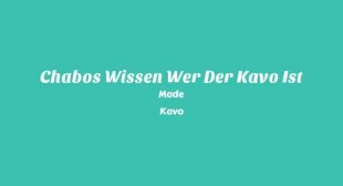 Chabos wissen wer der Kavo ist Song Lyrics