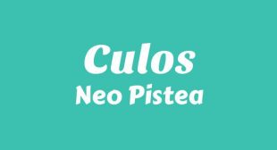 Lyrics of CULOS Song