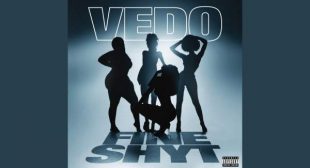 Fine Shyt Song Lyrics