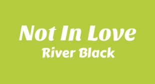 NOT IN LOVE Lyrics