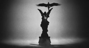 Pack Flipper Lyrics
