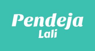 PENDEJA (English Translation) Song Lyrics