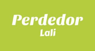 Lyrics of PERDEDOR Song
