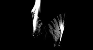 Perdutamente Song Lyrics