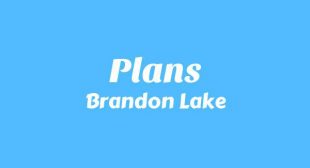 Plans Lyrics
