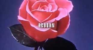 Reborn Song Lyrics
