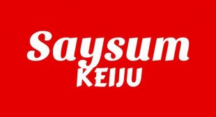 SAYSUM Lyrics – KEIJU