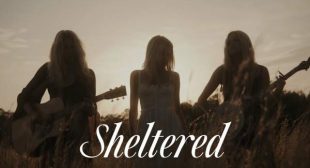 Sheltered Lyrics