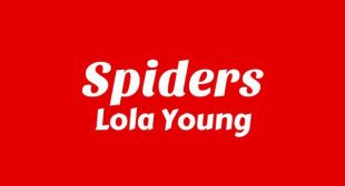 Lyrics of Spiders Song