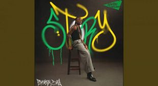 Lyrics of Story Song