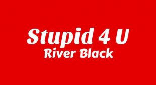 STUPID 4 U Lyrics – River Black