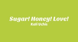 Sugar! Honey! Love! Song Lyrics