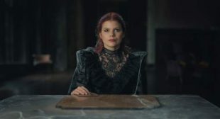 The Fossilized Widow Song Lyrics
