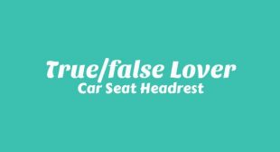 TrueFalse Lover Lyrics