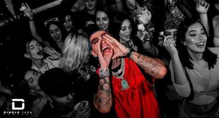 Lyrics of UNA NOCHE DE LOCURA (English Translation) Song