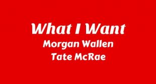 What I Want Song Lyrics
