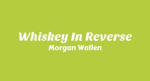 Whiskey In Reverse Lyrics