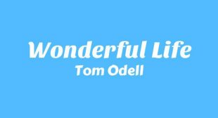 Wonderful Life Lyrics