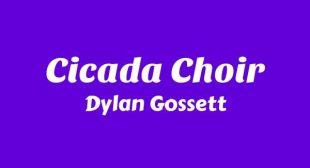 Cicada Choir Lyrics