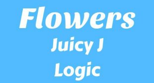 Flowers Lyrics