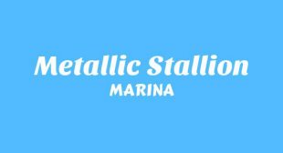 METALLIC STALLION Lyrics – MARINA