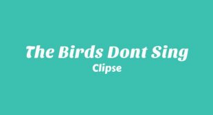 The Birds Dont Sing Lyrics – Clipse