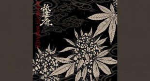 Lyrics of THE SEQUEL (English Translation) Song