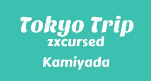 Lyrics of Tokyo trip Song