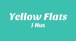 Lyrics of Yellow Flats Song