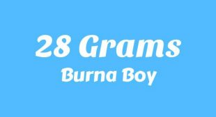 Lyrics of 28 Grams Song