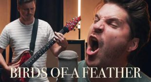 BIRDS OF A FEATHER Lyrics