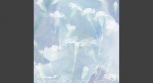 Lyrics of Hands Off My Heart (English Translation) Song
