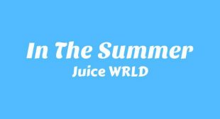 In The Summer Song Lyrics