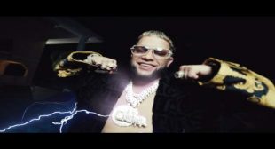 Lyrics of SELF IMMOLATION Song